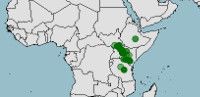 Distribución de Elephantulus rufescens, musaraña elefante de orejas largas