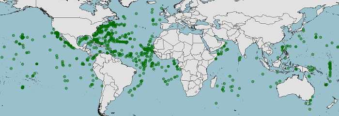 Distribución de Scopelogadus mizolepis