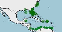 Distribución de Trichechus manatus, manatí del Caribe