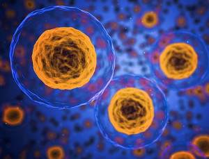 Células, Orgánulos celulares membranosos
