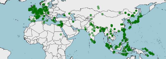 Distribución del Martín pescador, Alcedo atthis