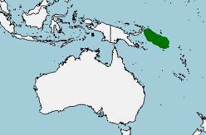 Distribución de Ceratobatrachus guentheri