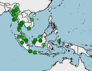 Distribución de Cylindrophis ruffus