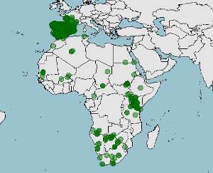 Distribución de la gineta