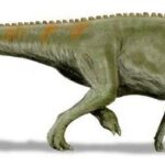 edmontosaurus