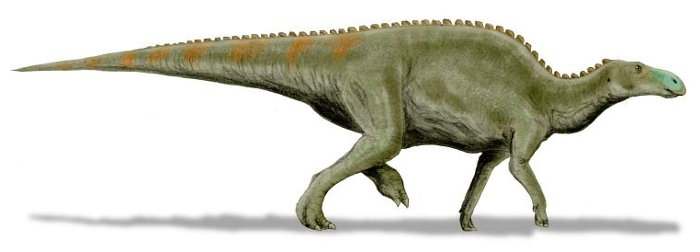 Edmontosaurus