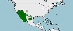 Distribución de Coleonyx variegatus