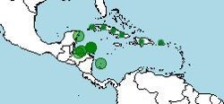 Distribución de Epictia magnamaculata, culebra ciega negra