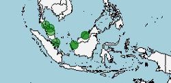 Distribución de Desmopuntius pentazona, barbo de cinco bandas