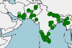 Distribución de Euphlyctis cyanophlyctis, rana saltadora