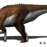 Lambeosaurus