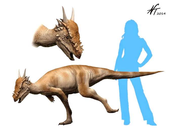 Stygimoloch – un dinosaurio herbívoro lleno de cuernos