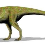 Thescelosaurus