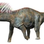 Amargasaurus