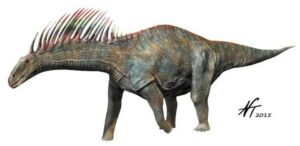 Amargasaurus – todo lo que querías saber acerca de este dinosaurio