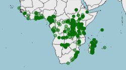 Distribución de Ptychadena mascareniensis