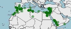 Distribución del Camaleón común, Chamaeleo chamaeleon