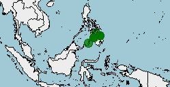 Distribución de Nyctixalus spinosus