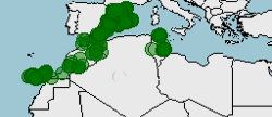 Distribución de erizo moruno, Atelerix algirus