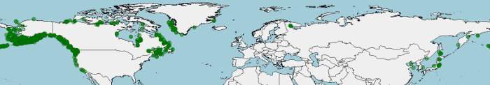 Distribución del bacalao del Pacífico, Gadus macrocephalus