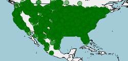 Distribución del pavo salvaje, Meleagris gallopavo