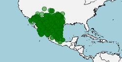 Distribución de Scaphiopus couchii