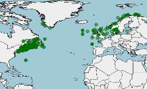 Distribucion del eglefino, Melanogrammus aeglefinus