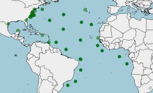 Distribución del delfín moteado, Stenella frontalis