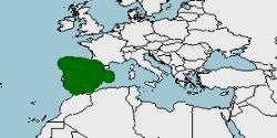 Distribución de la liebre ibérica, Lepus granatensis