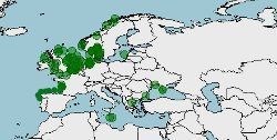 Distribución del merlán, Merlangius merlangus