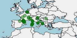 Distribución de la Culebra verdiamarilla, Hierophis viridiflavus