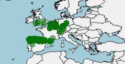 Distribución del tritón palmeado, Lissotriton helveticus