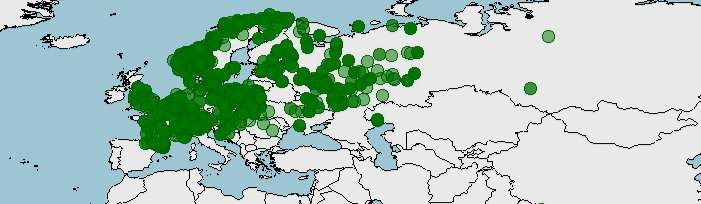 Distribución de la musaraña bicolor, Sorex araneus