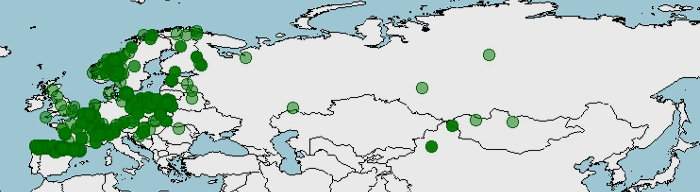 Distribución del musgaño patiblanco, Neomys fodiens