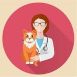 Diabetes mellitus en gatos