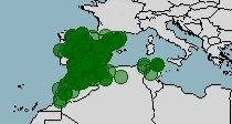 Distribución de Psammodromus algirus