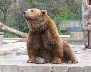 Mejores zoológicos de España