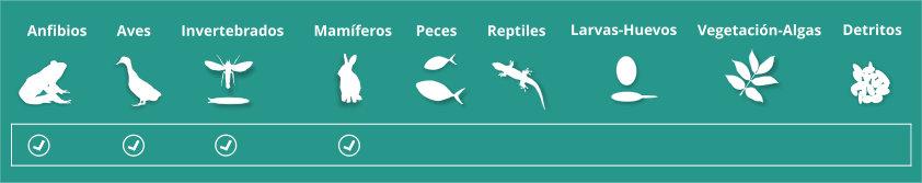 Alimentación del escuerzo común