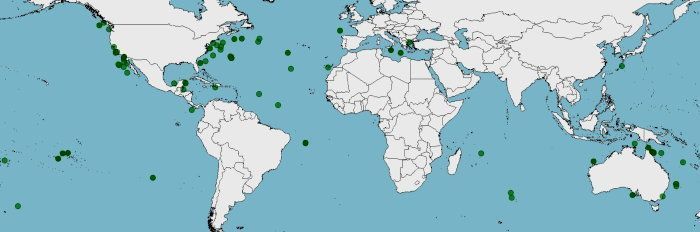 Distribución del Bonito del norte