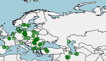 Distribución de la colmilleja, locha espinosa, Cobitis taenia