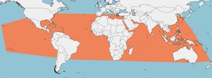 Distribución del tiburón martillo común, Sphyrna lewini