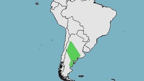 Distribución de la liebre de la Patagonia, Dolichotis patagonum