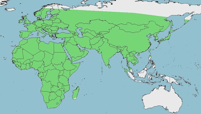 Distribución del cernícalo vulgar, Falco tinnunculus