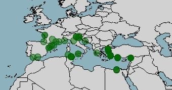 Distribución de la dorada