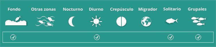 Costumbres y hábitos de la dorada