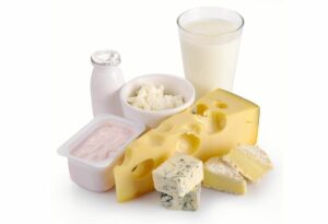 Derivados de la leche de los mamíferos, ejemplos o tipos