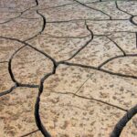 Qué es la desertizacion, principales causas y sus consecuencias desertizacion