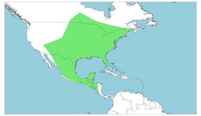 Distribución de guabairo, Antrostomus vociferus