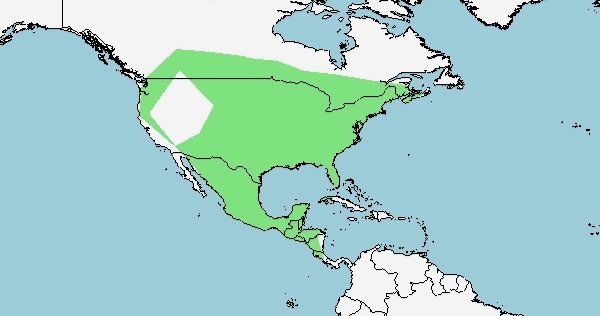 Distribución del colibrí de garganta rubí