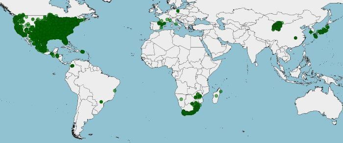 Distribución del black bass, Micropterus salmoides